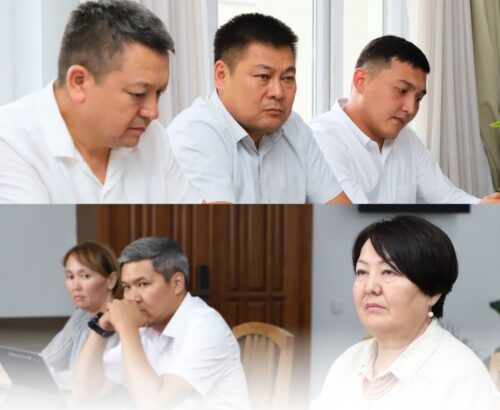 АРИС ЖАҢЫ БАЛА БАКЧА ДОЛБООРЛОРУН КОЛДООГО АЛАТ