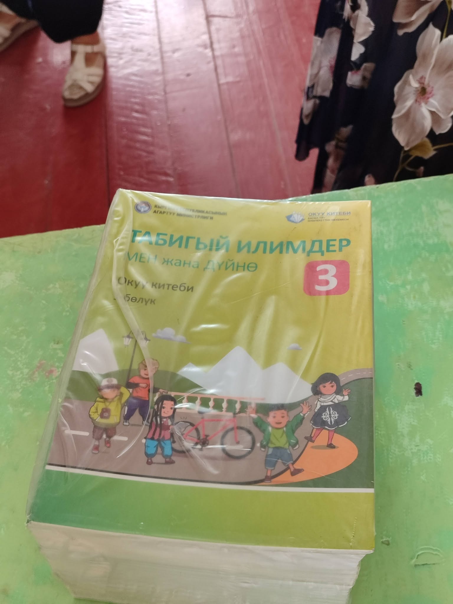 ЖАҢЫ ОКУУ КИТЕПТЕРИ МЕКТЕПТЕРГЕ ТАРАТЫЛУУДА
