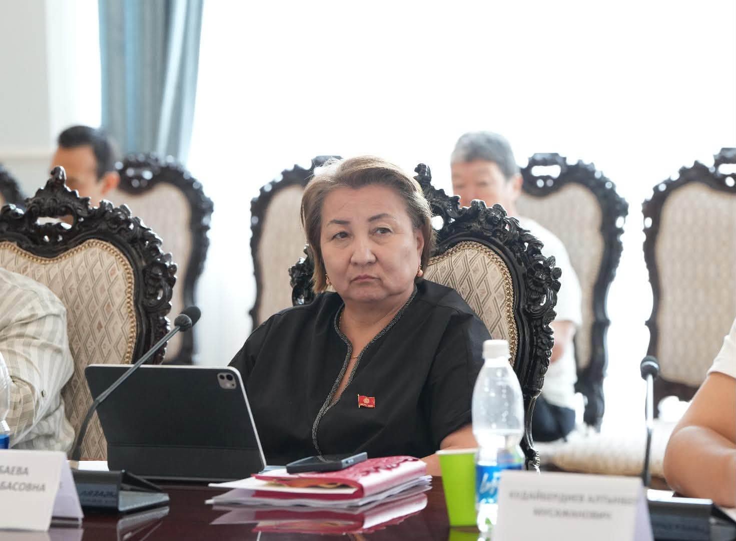 ШАЙЛОО МЫЙЗАМДАРЫН ӨРКҮНДӨТҮҮГӨ БАГЫТТАЛГАН ЭКСПЕРТТИК БРИФИНГ ӨТКӨРҮЛДҮ