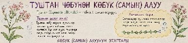 Элдик мурастагы табигый самын: «туштан» өсүмдүгү