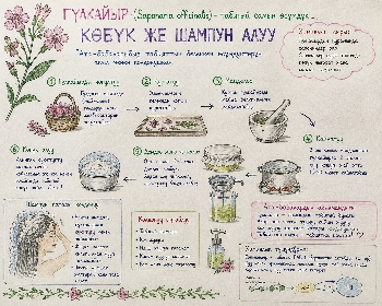 Гүлкайырдын химиясы: кыргыздын табигый шампуну