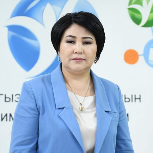 СУРОО-ЖООП: МЕКТЕПКЕ ЧЕЙИНКИ БИЛИМ БЕРҮҮДӨГҮ ЖЕТИШКЕНДИКТЕР