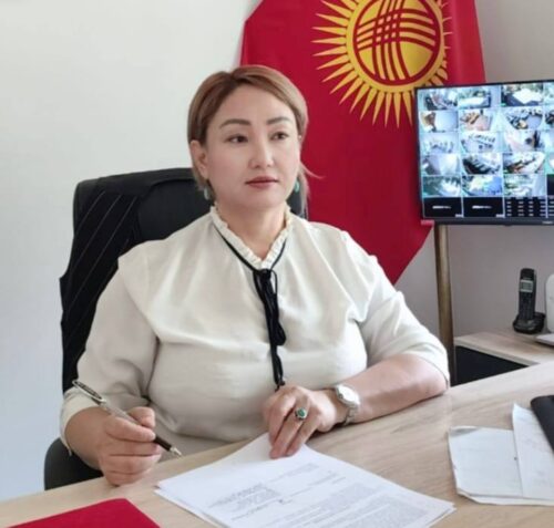 ТЕОРИЯДАН ПРАКТИКАГА:ДУАЛДЫК ОКУТУУ КАНДАЙ НАТЫЙЖА БЕРҮҮДӨ?
