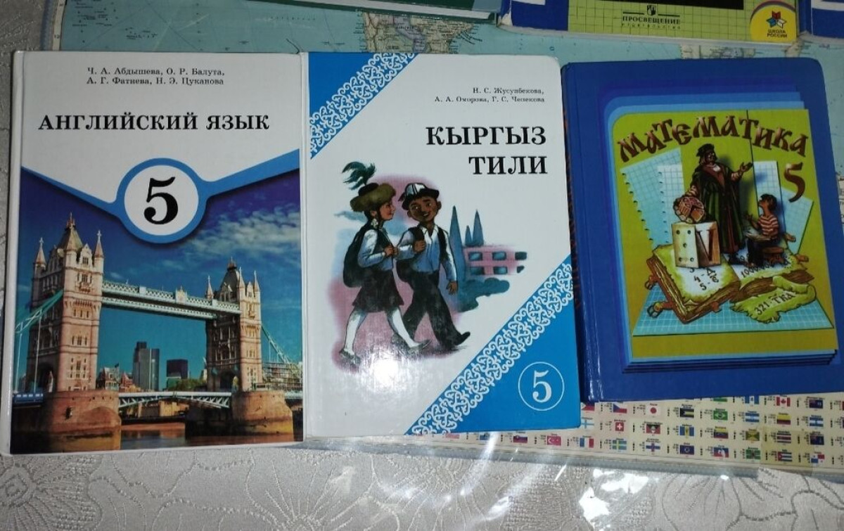ОКУУ КИТЕБИ — БИР МИНИСТРДИН ЭМЕС, БҮТҮНДӨЙ СИСТЕМАНЫН МАСЕЛЕСИ