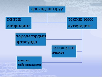 СЕЛЕКЦИЯ ОРГАНИЗМДЕРДИН  МАДАНИЙ ФОРМАЛАРЫНЫН ӨЗГӨРҮҮ ЖОЛУ (БИОЛОГИЯ, 9-КЛ.)