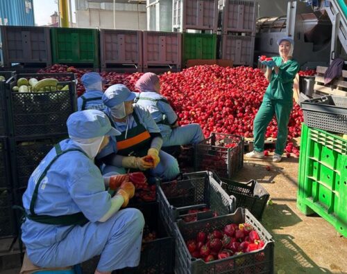 ДУАЛДЫК ОКУТУУ: КУАУНУН СТУДЕНТТЕРИ «SONUN PRODIMPEX» ИШКАНАСЫНДА