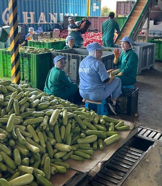 ДУАЛДЫК ОКУТУУ: КУАУНУН СТУДЕНТТЕРИ «SONUN PRODIMPEX» ИШКАНАСЫНДА